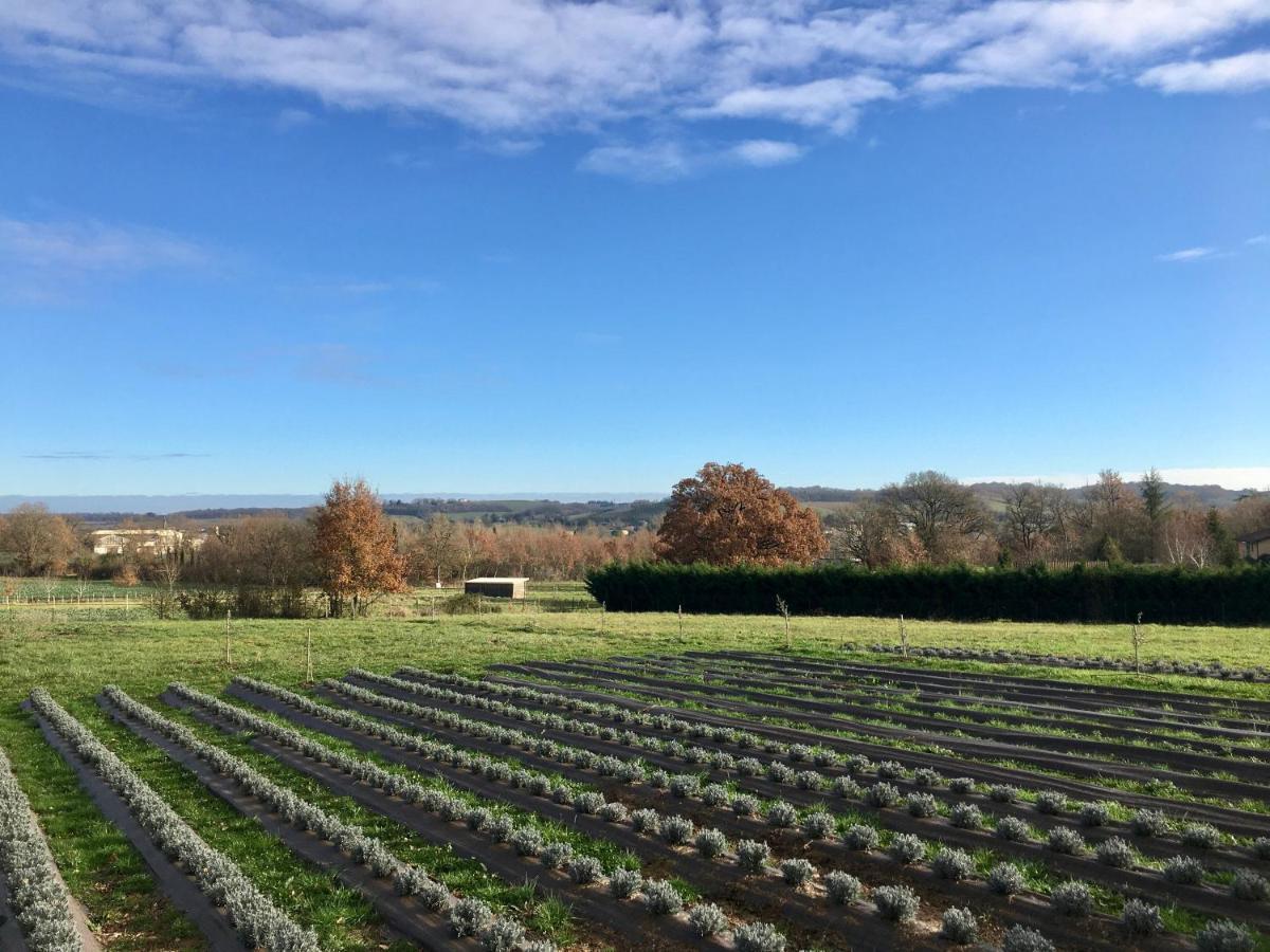 Domaine D'Elusa 维克费藏萨克 外观 照片