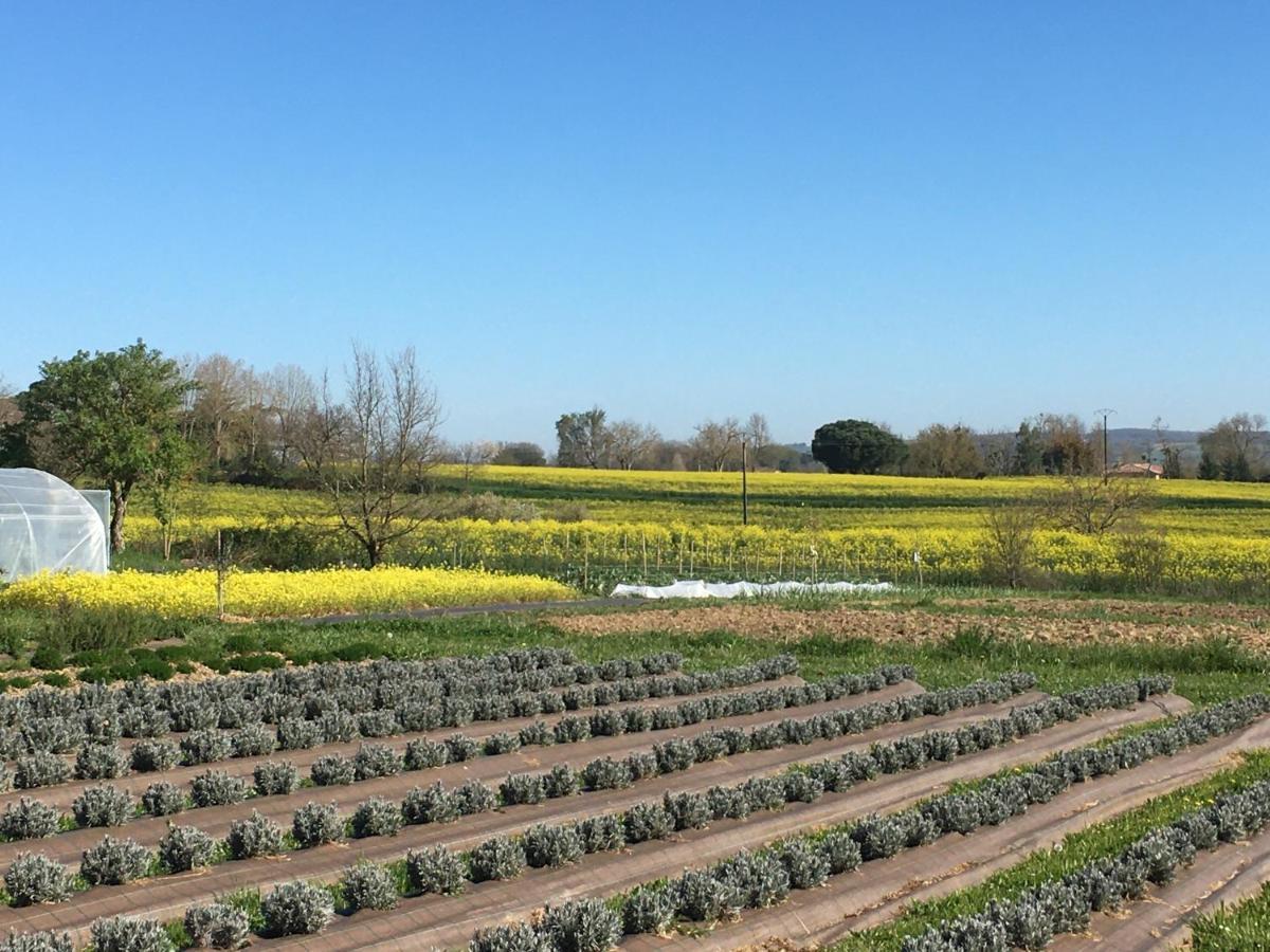 Domaine D'Elusa 维克费藏萨克 外观 照片