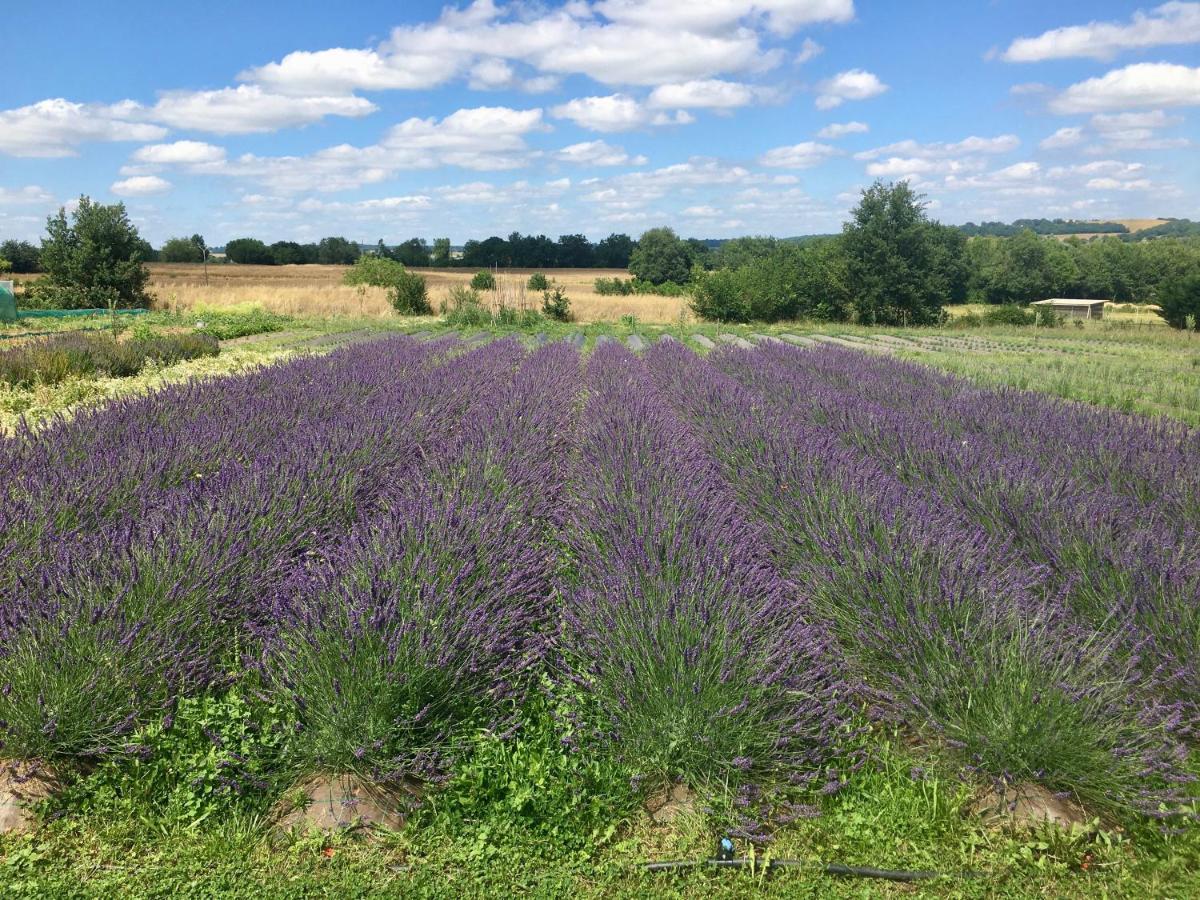 Domaine D'Elusa 维克费藏萨克 外观 照片