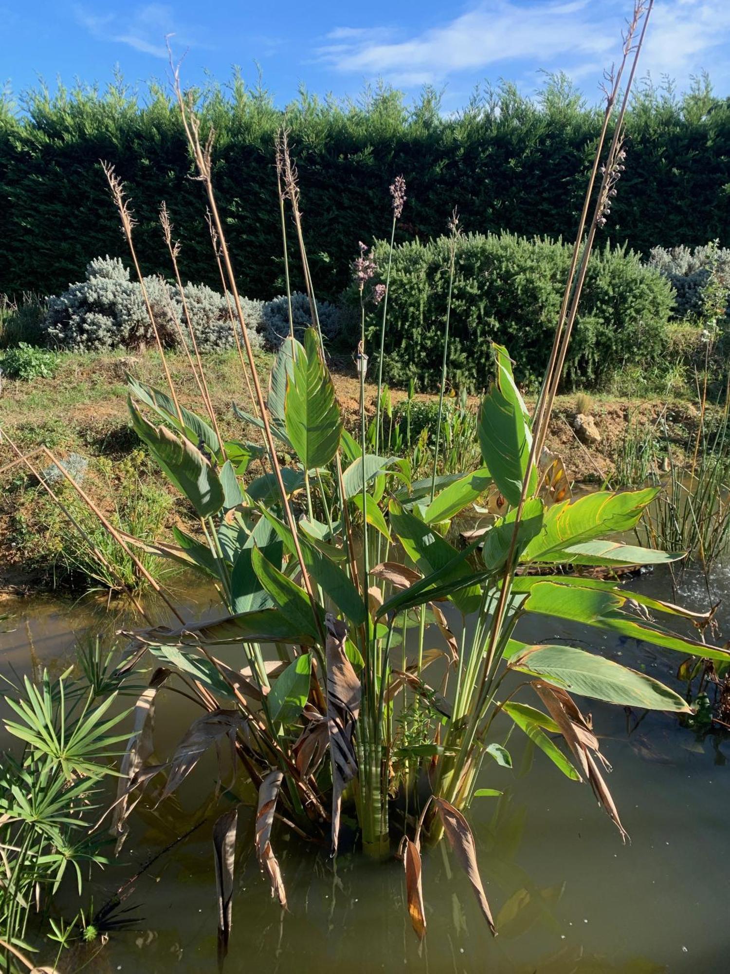 Domaine D'Elusa 维克费藏萨克 外观 照片